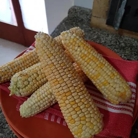 Pensjonat Il Casale D'argento *